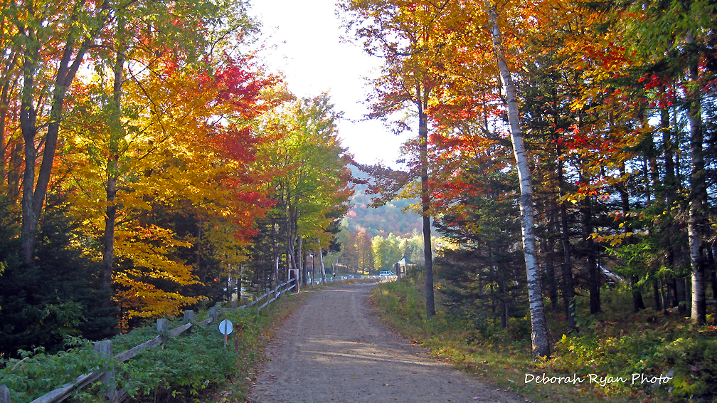 Great Glen Trails