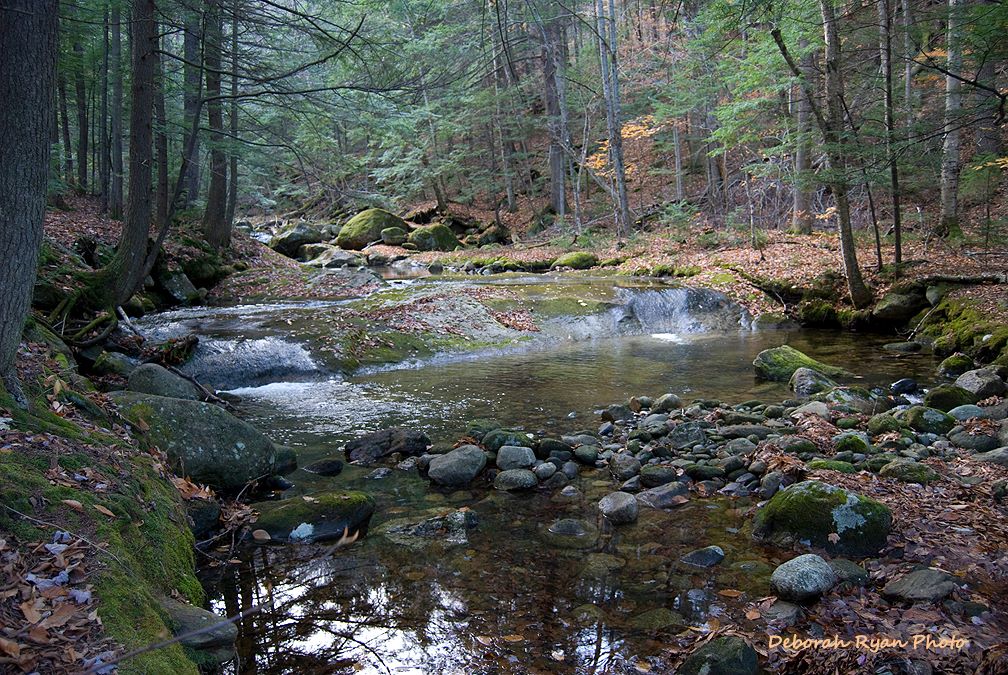 Pea Brook, Shelburne, NH