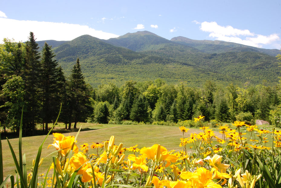 Jefferson view of the Presidentials