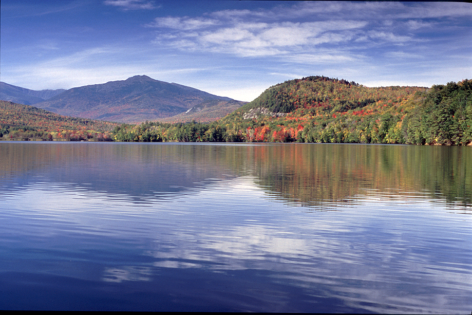 Reflection Pond